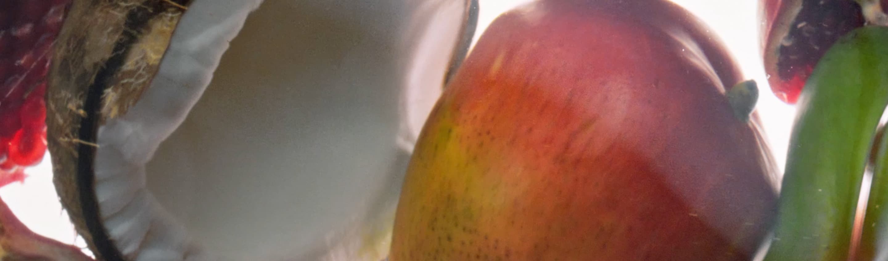 Consulta nuestro glosario de ingredientes
